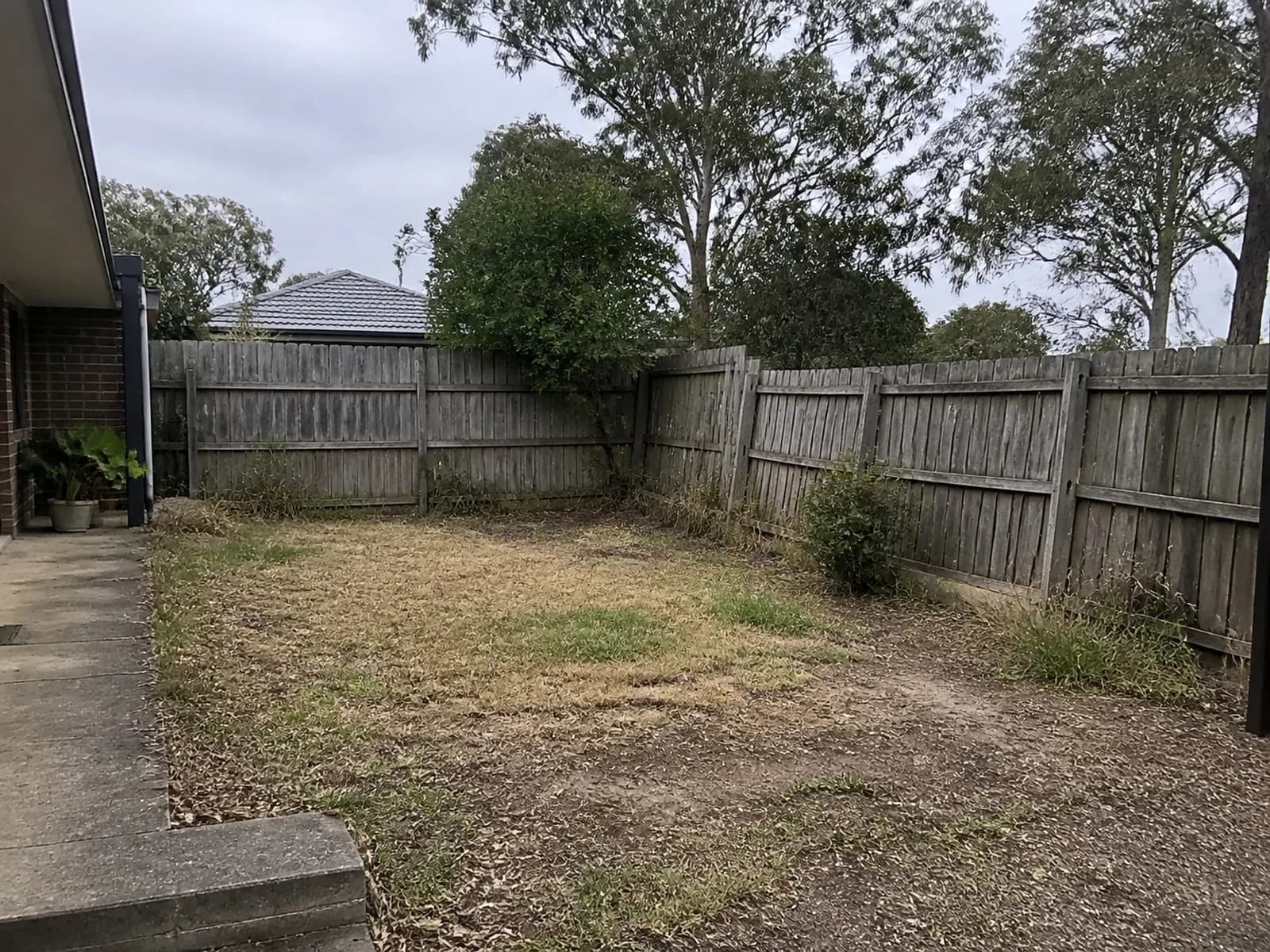 Before - Sydney Backyard Transformation Backyard before renovation Sydney NSW - overgrown yard with patchy dead grass and an old damaged timber fence