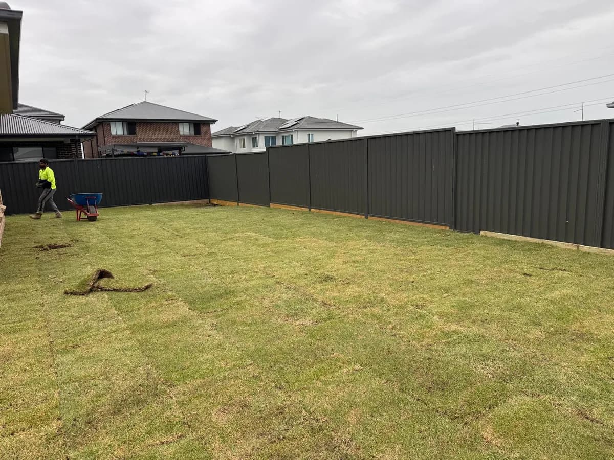 Freshly laid natural turf in a Sydney backyard by Jacob Landscaping and Fencing