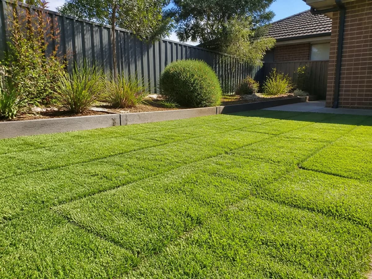 Professional landscaping services Sydney